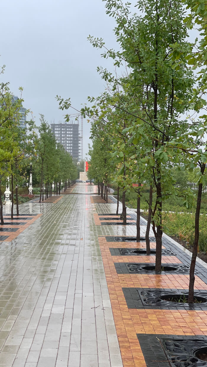 Приствольная решетка для дерева ZKING CRUST 1.2х1.2м Черная в Люберцах фото