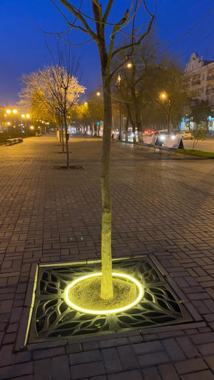 Приствольная решетка для дерева ZKING CRUST 1.2х1.2м Черная в Люберцах фото